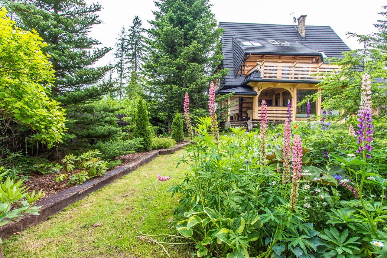Apartamenty Bialy Potok Witów Екстериор снимка